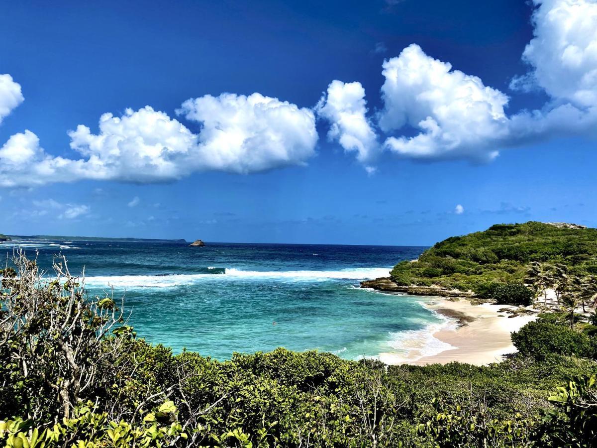 Le Paradis Zen 1Er Etage Et Rdc Vue Plage Et Mer Ste Anne Sainte-Anne  Luaran gambar