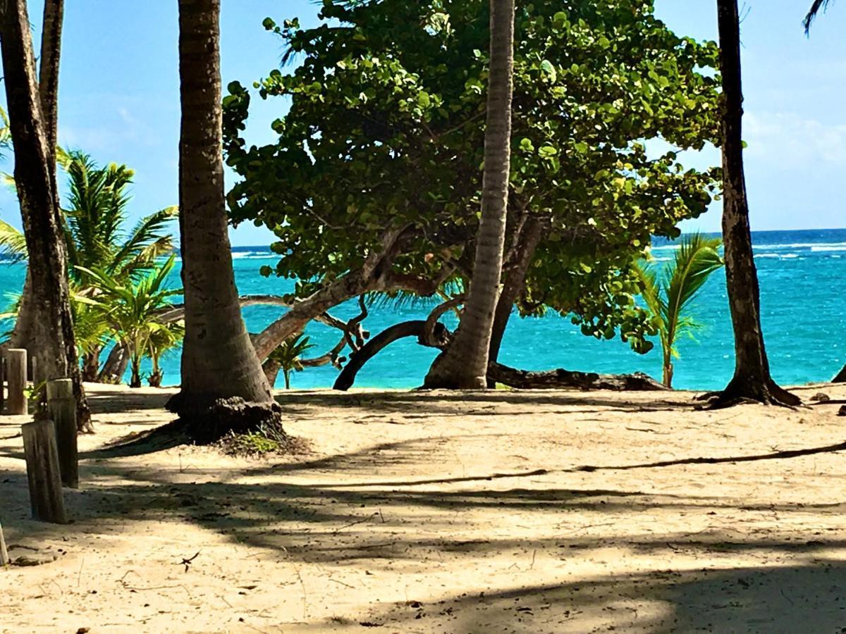 Le Paradis Zen 1Er Etage Et Rdc Vue Plage Et Mer Ste Anne Sainte-Anne  Luaran gambar