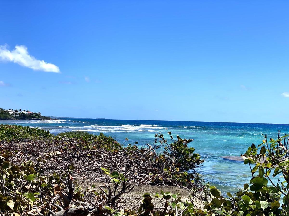 Le Paradis Zen 1Er Etage Et Rdc Vue Plage Et Mer Ste Anne Sainte-Anne  Luaran gambar