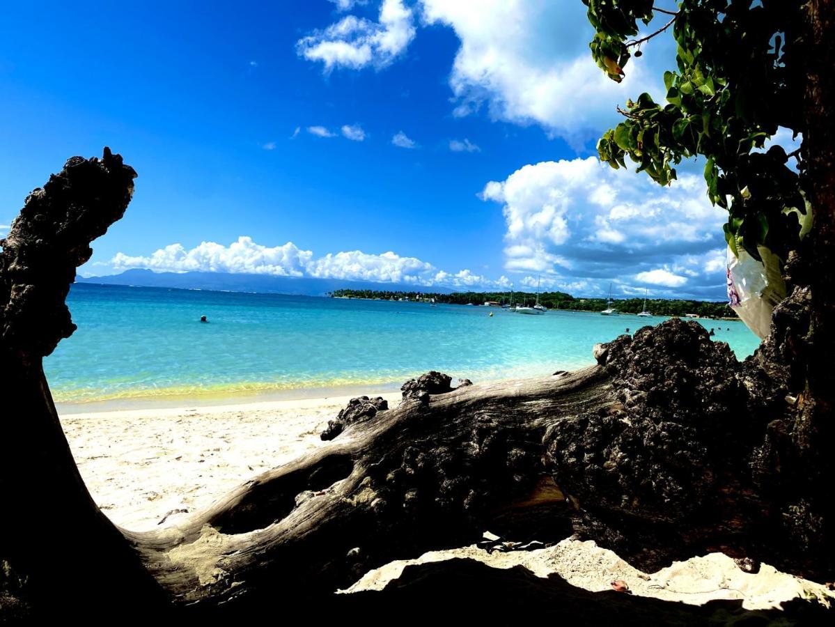 Le Paradis Zen 1Er Etage Et Rdc Vue Plage Et Mer Ste Anne Sainte-Anne  Luaran gambar